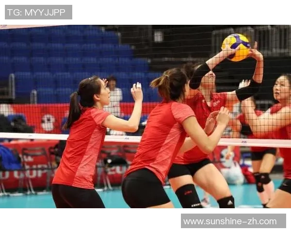 南京排球队的节奏揭秘：从训练到比赛的全景探索与感悟