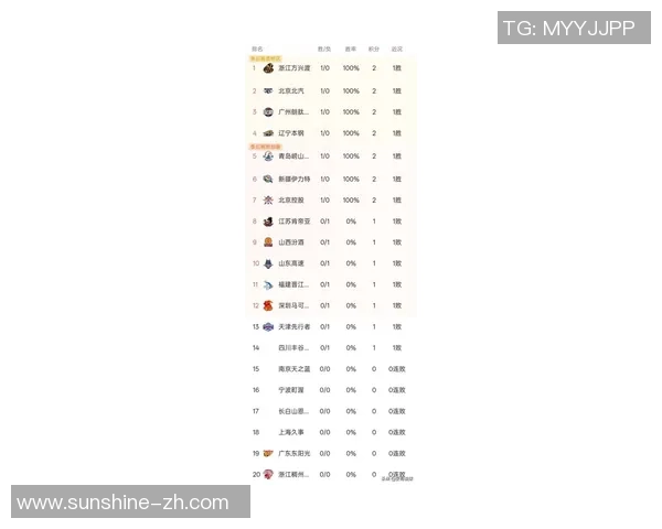 广州篮球队在全国锦标赛积分榜上以100分稳居第一名，展现强劲实力